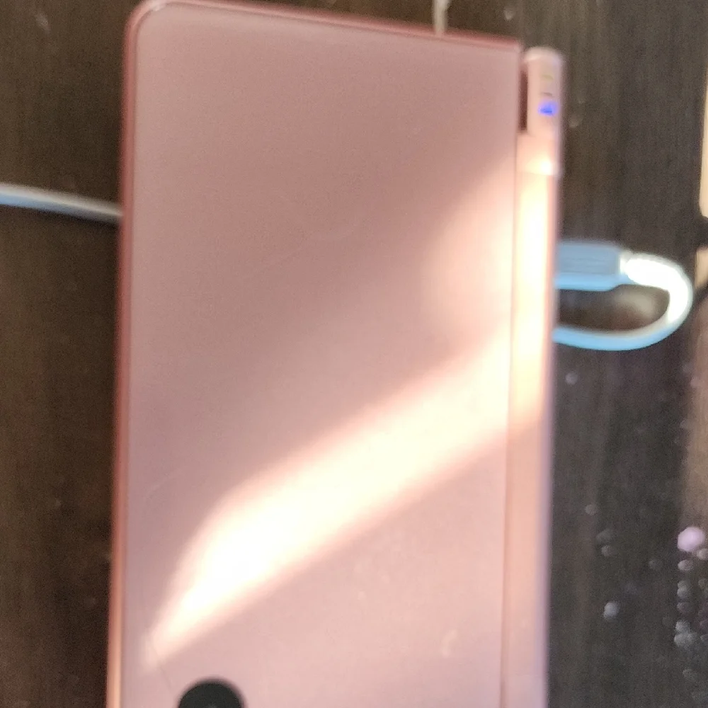 Nintendo DS Lite Coral Handheld Console